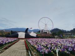 -望天湖