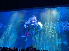 -哈尔滨波塞冬海底世界