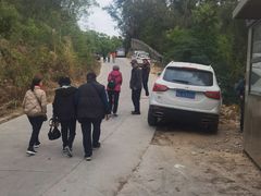 -广东惠东海龟国家级自然保护区