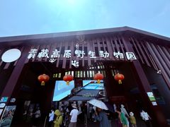 -青藏高原野生动物园