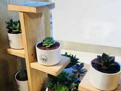 -谷莠子花艺气球派对·绿植造景·花艺沙龙(东海缤纷天地店)