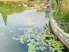 -抚仙湖万达文华酒店