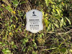 -阳台山森林公园