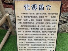 -呀路古热带植物园