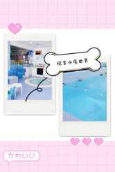 -马博士婴幼儿游泳馆(广安门旗舰店)