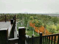 -东丽湖风景区