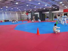 -陈中跆拳道(中关村馆)