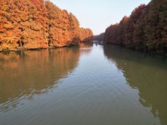 -上海海湾国家森林公园