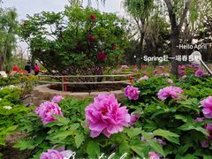 -太阳宫公园