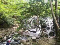 -白云源风景区