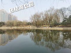-团结湖公园