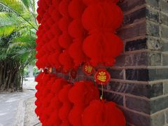 -广西壮族自治区药用植物园