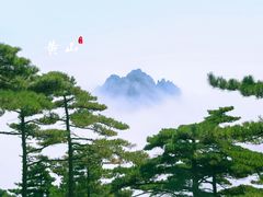 -黄山风景区