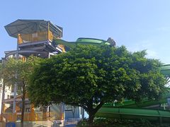 -重庆海昌加勒比海水世界