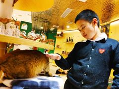 -飞行喵MR PILOT|猫舍·猫咖(静安大融城店)