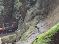 -牛背梁国家森林公园