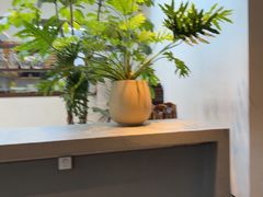 -自如ZSPACE四合院艺术餐厅