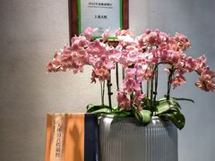 -上蔬无瑕· 创意素食·Vegetarian(华采天地店)