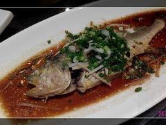 蒸大黄鱼-乾园风尚五大道