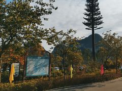 -靖西鹅泉风景区