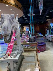 -卡通尼·Safari非洲探索乐园·生日会(金桥国际商业广场店)