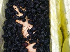 -幸福荣耀生鲜超市(来广营店)