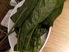 菠菜-彤德莱(青岛人民路店)