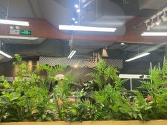 -菌小白火锅(时尚天河店)
