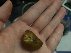 -粒上皇(上海瞿溪路店)