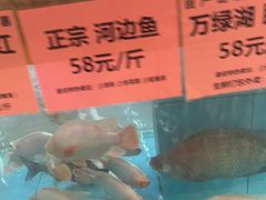 -年辉渔村·非遗传承餐厅(新丰江店)