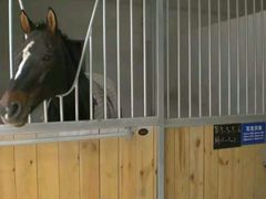 -松声马术俱乐部