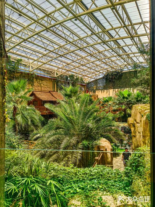 杭州开元森泊度假乐园图片