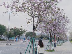 -花都广场