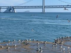 -星海广场