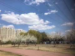 -南关北海公园
