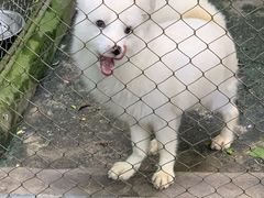 -CoCo都可(嘉定大融城店)