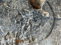 -青州市云门山风景区