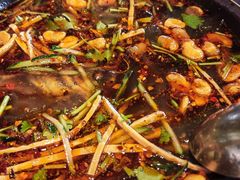 浑源凉粉-鼓楼东街老火锅(鼓楼店)