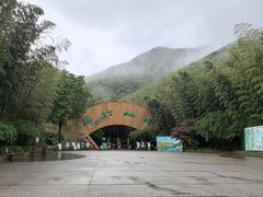 -紫藤园·天目湖大鱼头(南山竹海店)