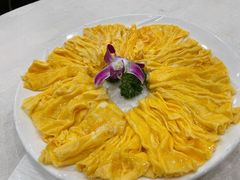 黄埔炒蛋-姚林轩