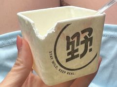 -野人先生现做冰淇淋(北京悠唐购物中心店)