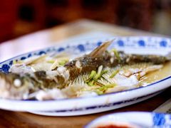 清蒸白水鱼-洞天食府(北大街店)