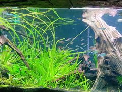 -上海海洋水族馆