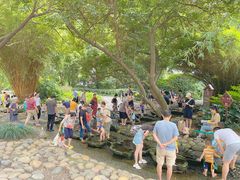 -成都市活水公园