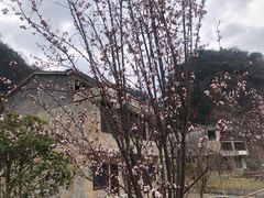 -高荡千年布依古寨旅游景区