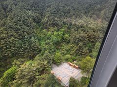 -苍山感通索道