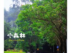 -火炉山森林公园