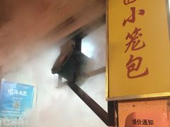 -桐香园小笼包(百井坊巷店)