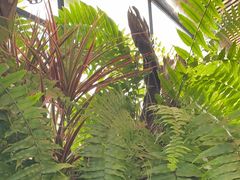 -野蔓果·山野菜(西湖景区·龙井茶田店)