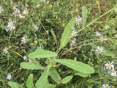 -白塘生态植物园